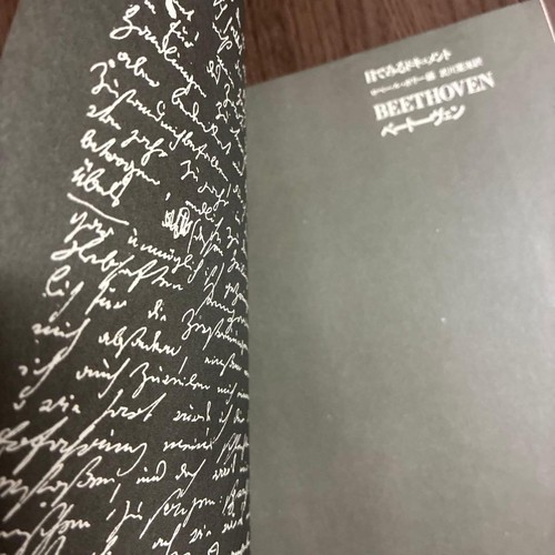 Beethoven documento visivo