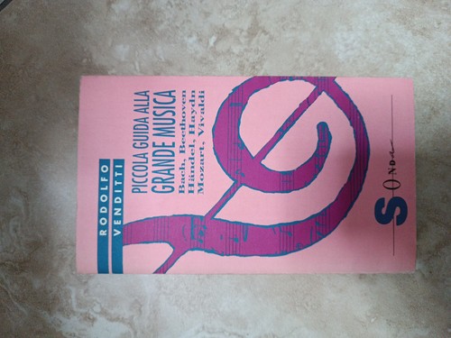 Libro piccola guida - libro,